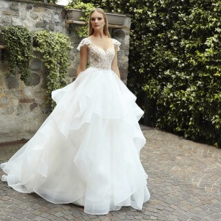 Gala 2019 Solidago model